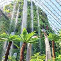 Dino Dreams Come Alive: Jurassic World at Gardens by the Bay 🇸🇬