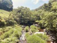 ⛩️ 絕景寺廟大挑戰！三德山三佛寺⚠️ 還有谷川天狗堂豆腐咖啡！