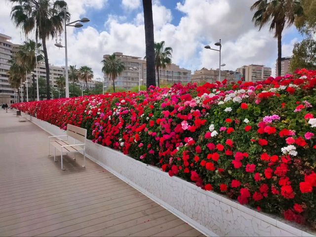 Turia Gardens