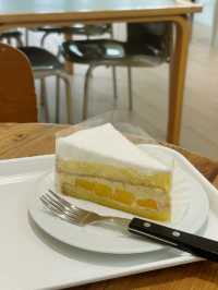디저트와 여유의 조화, 아기자기한 청주 디저트 카페 추천 🤍🍰🧁