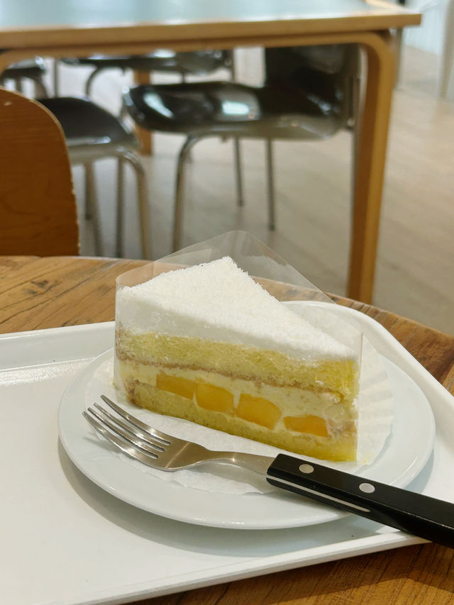 디저트와 여유의 조화, 아기자기한 청주 디저트 카페 추천 🤍🍰🧁