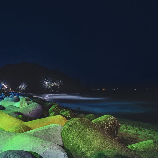 Solo & Budget Adventure: Hiking Hanseom Gamsung Sea Trail** 🌊🥾   