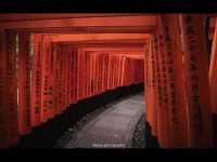 【伏見稲荷大社】千本鳥居の幻想世界へ⛩️願いを込めて歩く、朱のトンネル