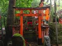 【伏見稲荷大社】千本鳥居の幻想世界へ⛩️願いを込めて歩く、朱のトンネル