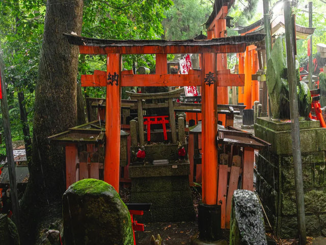 【伏見稲荷大社】千本鳥居の幻想世界へ⛩️願いを込めて歩く、朱のトンネル