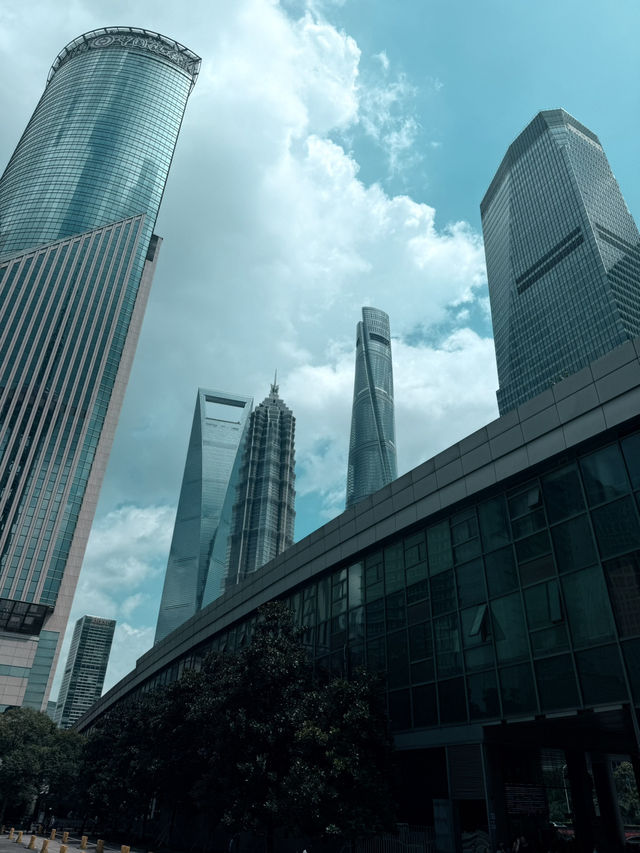 Discovering Shanghai: A Visual Journey Through Light, Nature, and City Glamour