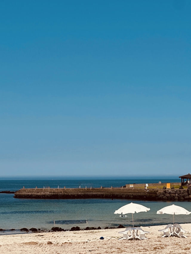 A Serene Stretch of Unspoiled Coastal Beauty