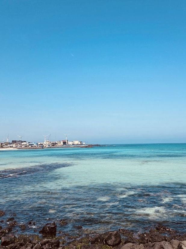 A Serene Coastal Drive with Panoramic Ocean Views