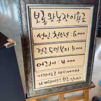 제주에서 꽃구경 하고 싶으면 여기로!