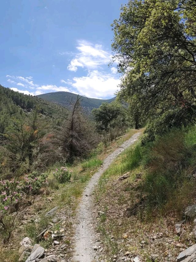 Unexpected Trails and Epic Views in Fiñana