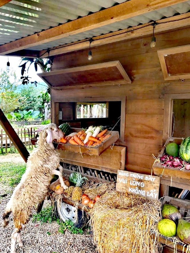 The Farmers 農場