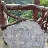 Wulingyuan Scenic Area (Hunan)