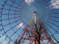 【グリーンランド】九州最大級の遊園地で、笑顔あふれる1日を🎢🎡