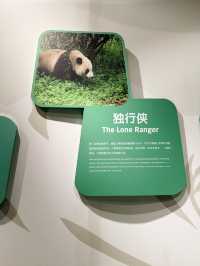 รีวิว Chengdu Giant Panda Museum