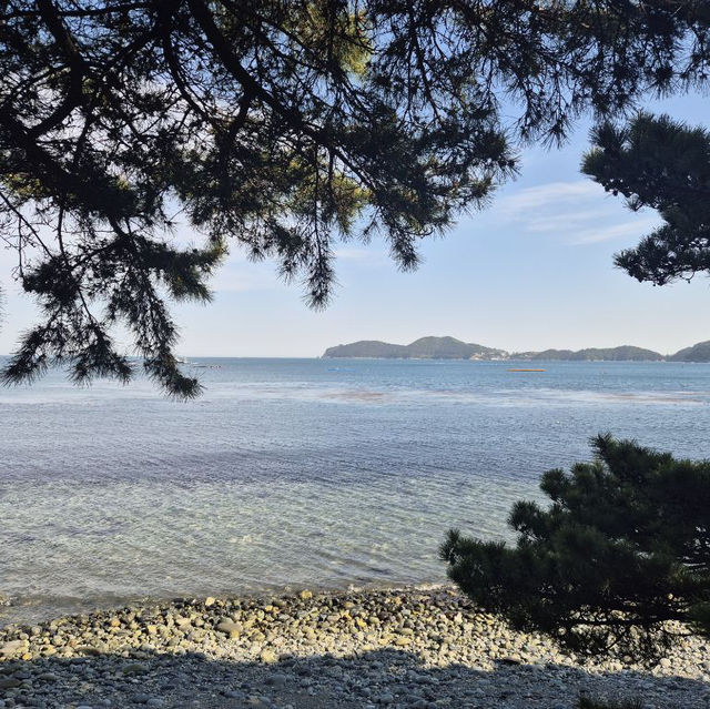 🌊 바다와 자연의 조화, 거제도 2박 3일 여행코스