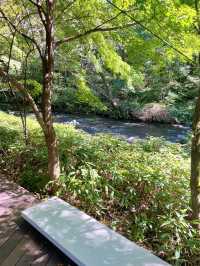 【軽井沢】涼を感じる🌿𓂃◌𓈒𓐍避暑地で夏を満喫