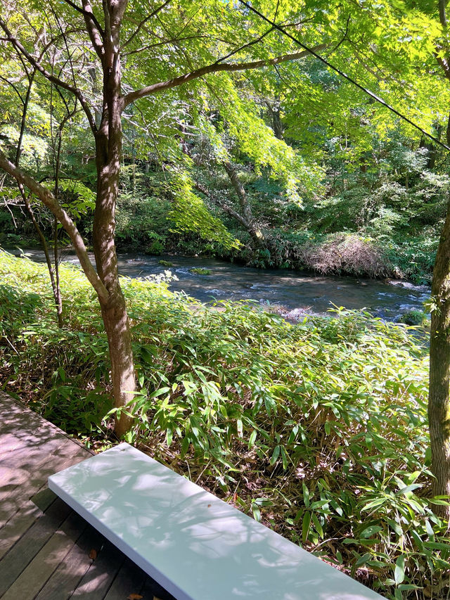 【軽井沢】涼を感じる🌿𓂃◌𓈒𓐍避暑地で夏を満喫