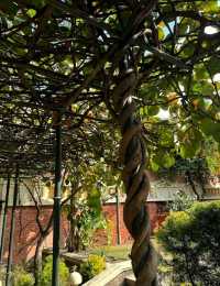 Garden of Dreams