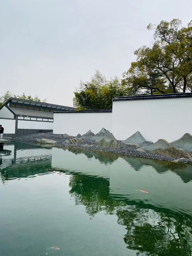 🌿 Tranquility by the Water — Daytime Strolls in Wuzhen