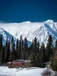 🇨🇦 North of 60° — Facing the Wild Silence of Canada on the Alaska Highway