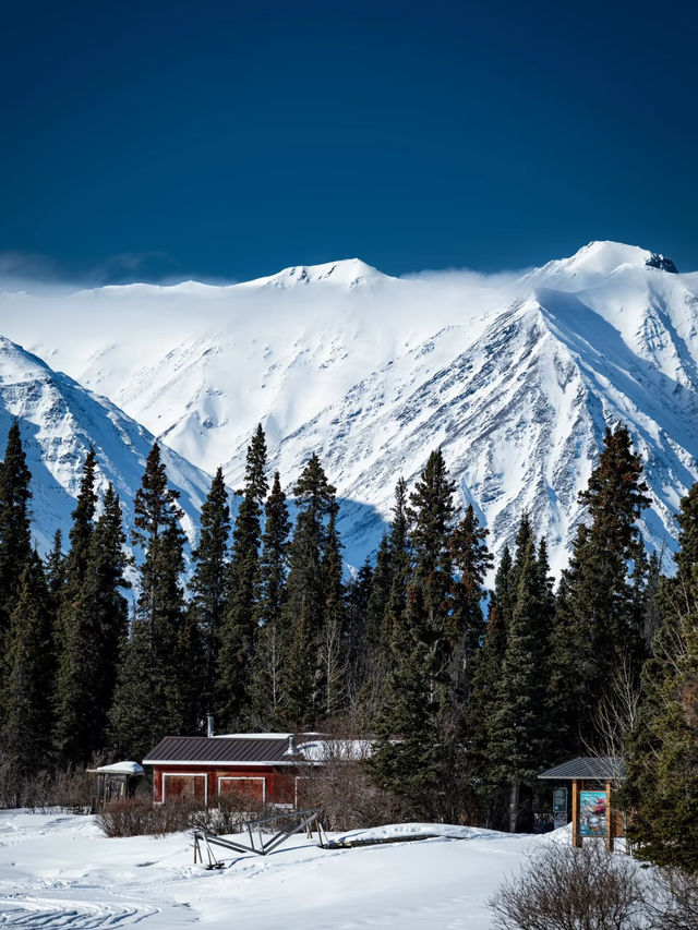 🇨🇦 North of 60° — Facing the Wild Silence of Canada on the Alaska Highway
