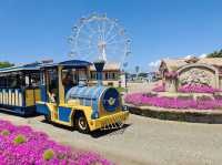 Soleil Hill is a year‑round floral haven with sweeping views of Izu Oshima and Mount Fuji