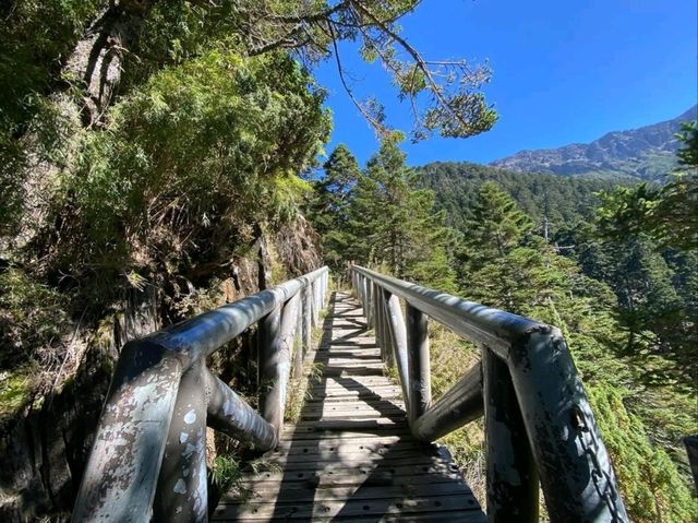 Quiet Majesty on the Trail to Yushan West Peak