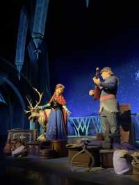 Disneyland in New Year 2025