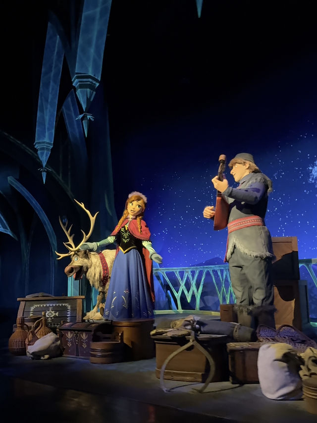 Disneyland in New Year 2025