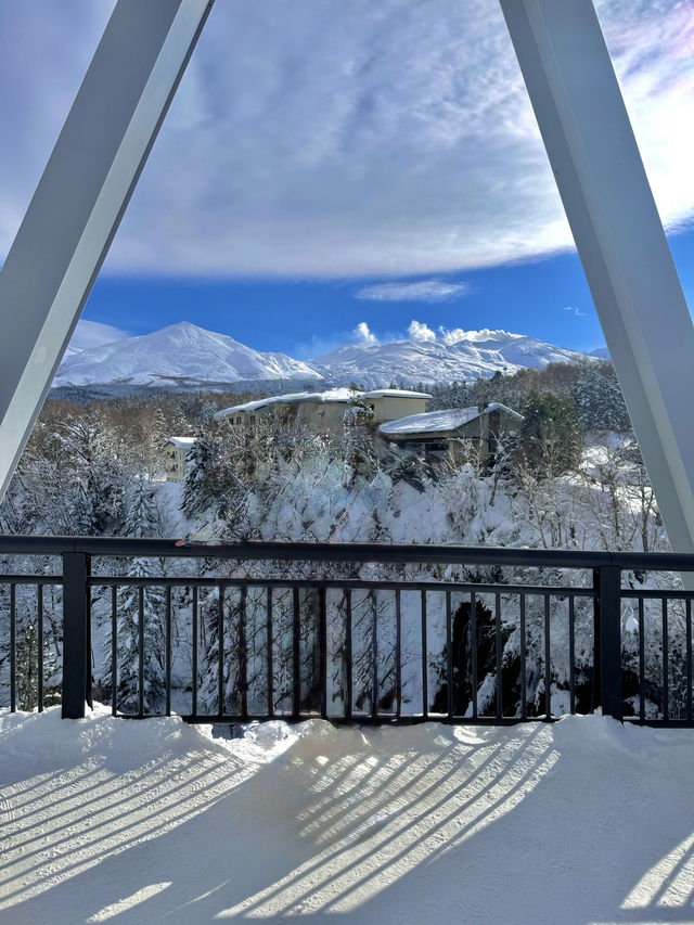 ❄️ 겨울 비에이 버스투어, 이건 꼭 가야 해! ❄️ 겨울 비에이 버스투어, 이건 꼭 가야 해!