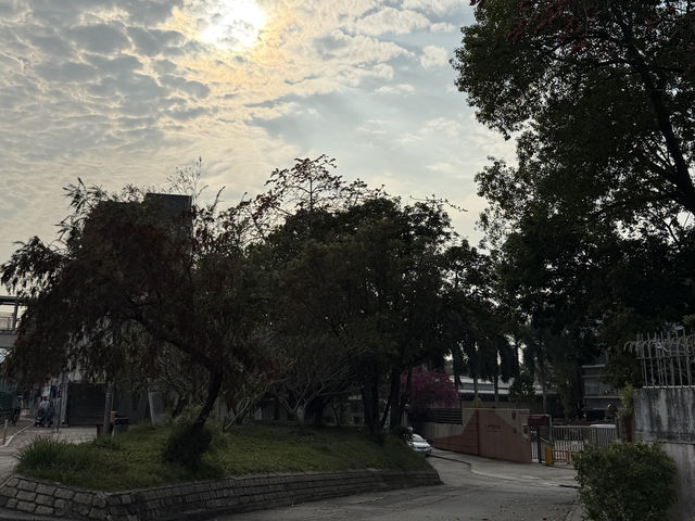 香港深度遊｜屏山鄧族文物館