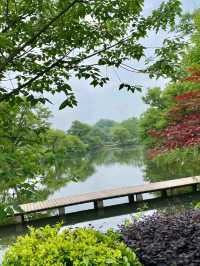Xixi National Wetland Park – Hangzhou’s Liquid Emerald