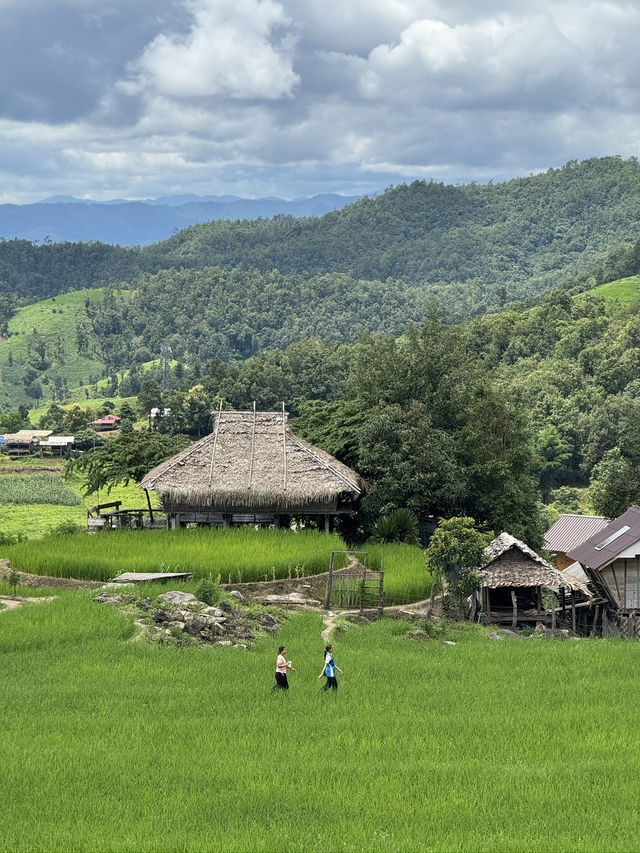 บ้านป่าบงเปียง จ.เชียงใหม่ 🏡⛰️🌦️🌾 บ้านป่าบงเปียง จ.เชียงใหม่ 🏡⛰️🌦️🌾