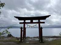 田沢湖駅前巴士站 便利轉乘點！搭環湖巴士輕鬆玩遍田沢湖畔🚌🌊