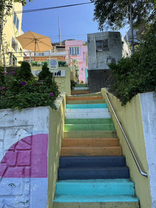 イルカの氷がかわいい影島カフェ