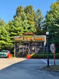 Woodland Thrills🎢