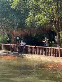 More than Just Angkor Wat 🍃