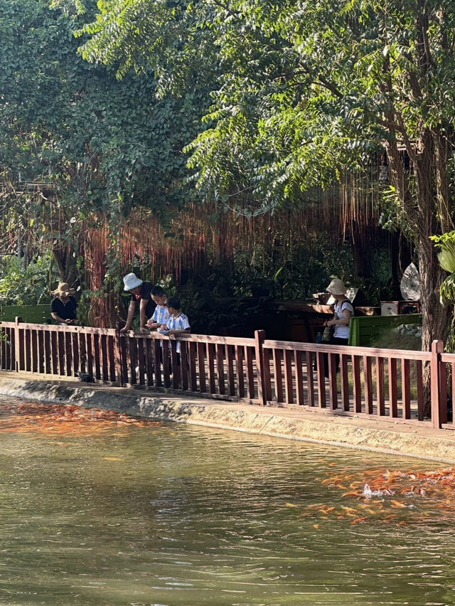 More than Just Angkor Wat 🍃 More than Just Angkor Wat 🍃