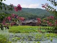 Seochulji Pond