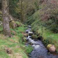 Ballard Waterfall Forest Recreational Area – Hidden Cascades & Woodland Loops of North Cork