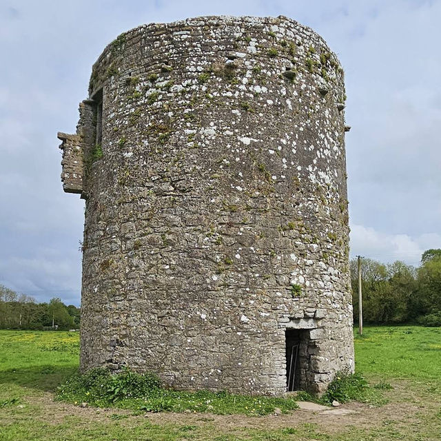 Ballybeg Priory – Medieval Augustinian Splendor in Ruin