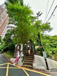 🌆 Taipei Evening Walk – Nature, Art & Tea ✨