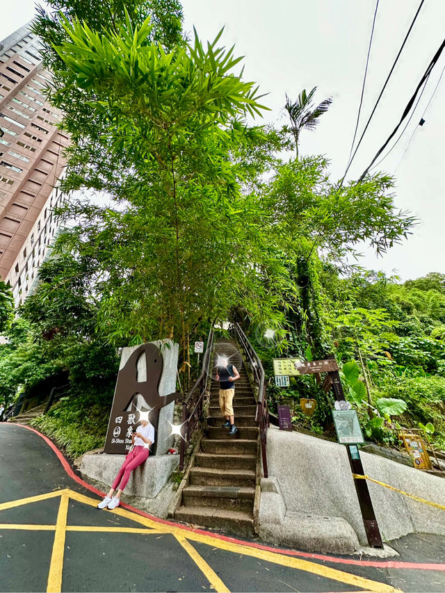 🌆 Taipei Evening Walk – Nature, Art & Tea ✨