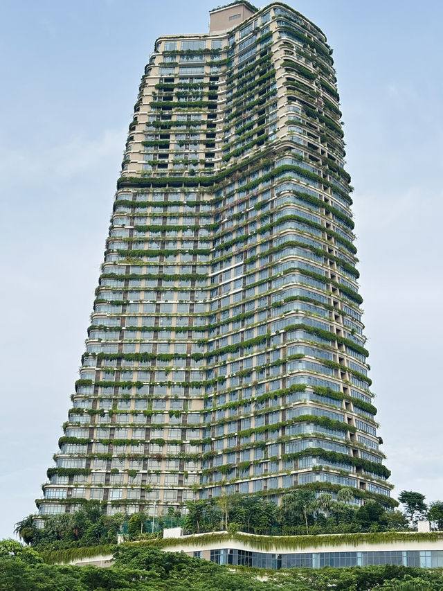 Cyberpunk Oasis by the Sea: Exploring Johor’s Forest City 🌆