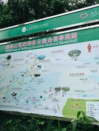 江門必去山林氧吧秘景 🌿