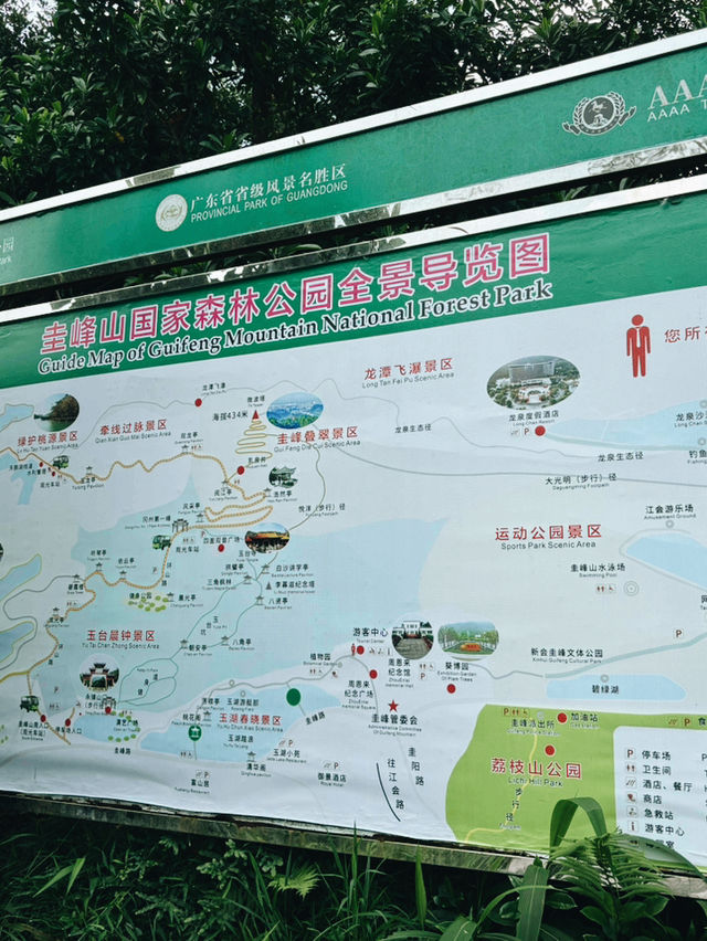 江門必去山林氧吧秘景 🌿 江門必去山林氧吧秘景 🌿