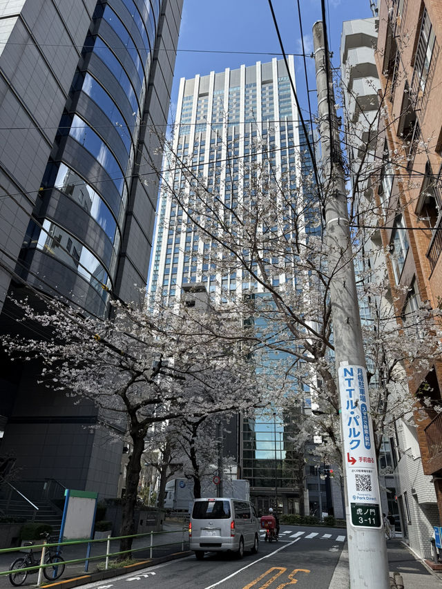 2025.03.28 櫻花季東京獨旅五天四夜行程 p6 第四天行程大公開(1.愛宕一帶) 2025.03.28 櫻花季東京獨旅五天四夜行程 p6 第四天行程大公開(1.愛宕一帶)