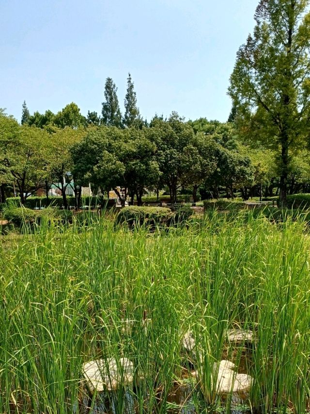 도심 속 여유를 품은 연지공원 도심 속 여유를 품은 연지공원