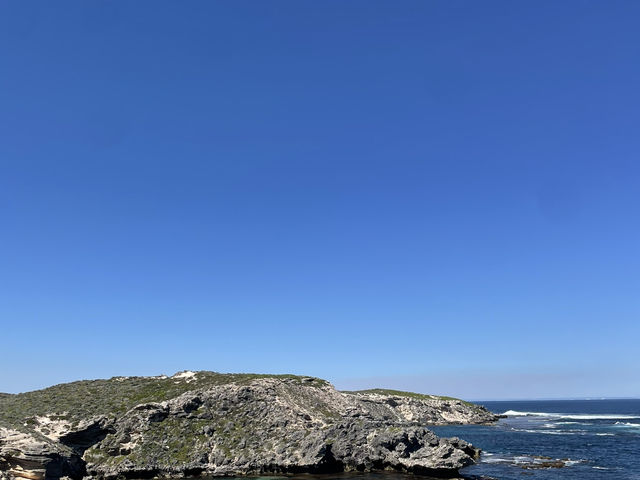 The wildest part of rottnest coast island