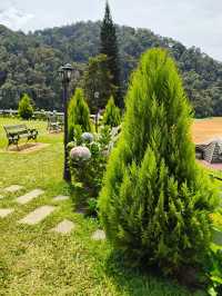Discover Cameron Highland Lakehouse Scenery 🌿